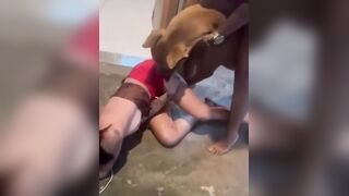 Sick Brothers Use a Vicious Pitbull as a Weapon to Torturously Maul Their Own Sister
