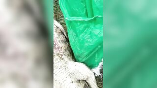 Locals Gut Man-Eating Crocodile and Remove Young Victim’s Rotting Body Parts