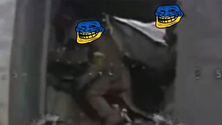 Poor little pigs are removed.
