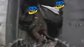 Poor little pigs are removed.