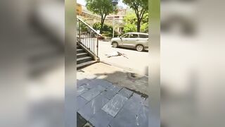 Woman Riding A Moped Falls Head First Under The Bus Wheel