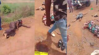 Several dead in roadside collision