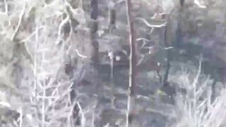 UA drones eliminate more Orcs and their equipment