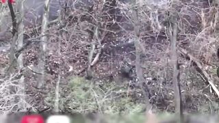 UA drones eliminate more Orcs and their equipment