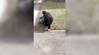 Dude tried to walk off with a lawn mower like nobody was gonna notice