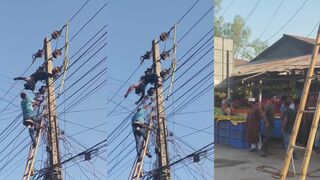 Worker killed on power line