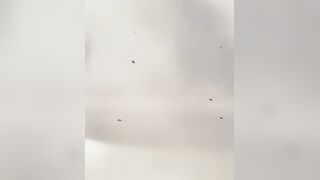 US aerial bomb on a visit near Tehran
