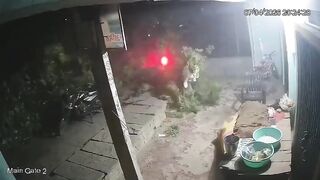 Tree Falls On Cyclist An Motorcycle Rider Killing Last One On Spot