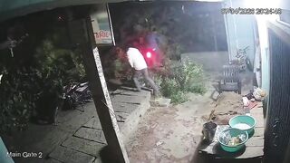 Tree Falls On Cyclist An Motorcycle Rider Killing Last One On Spot