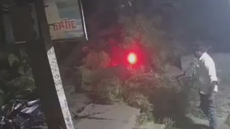 Tree Falls On Cyclist An Motorcycle Rider Killing Last One On Spot