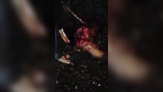 Woman Killed After Being Hit by Train in Indonesia
