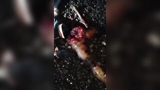 Woman Killed After Being Hit by Train in Indonesia
