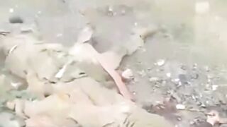 Destruction of advancing UA troops near Krasnoarmeysk