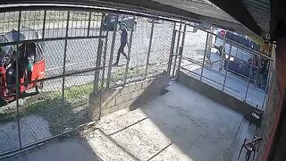 High-Speed Biker Slams Into Rickshaw And Dies Horribly