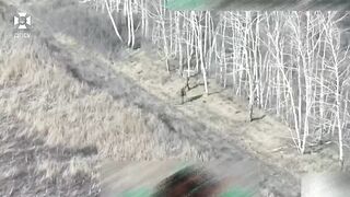 Dead Russians comp (April 8, 2026)