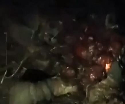 Results of artillery fire on UA ​​fighter positions