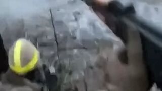 Full version of the legendary "Attack on the Crouching Pigs"