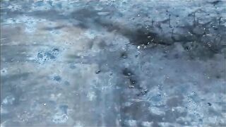 Full version of the legendary "Attack on the Crouching Pigs"