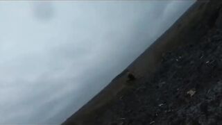 Full version of the legendary "Attack on the Crouching Pigs"