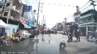 Two Injured After Elephant Goes On Rampage
