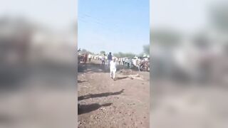 72-Year-Old Man Crushed to Death by Horse Cart During Traditional Race