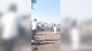 72-Year-Old Man Crushed to Death by Horse Cart During Traditional Race