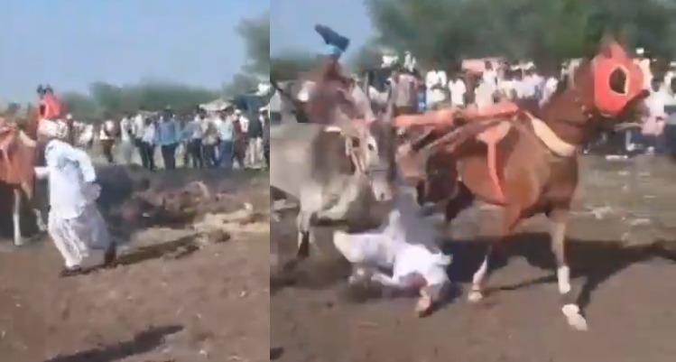 72-Year-Old Man Crushed to Death by Horse Cart During Traditional Race