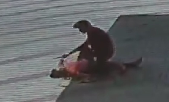 Man Slits Wife's Throat at Petrol Station for Refusing to Leave Him