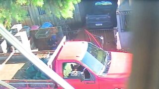Execution-Style Slaughter: Hitman Puts 6 Bullets in Elderly Beekeeper’s Head