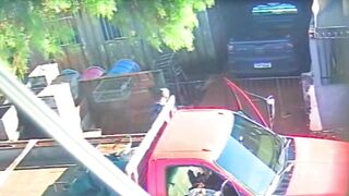 Execution-Style Slaughter: Hitman Puts 6 Bullets in Elderly Beekeeper’s Head
