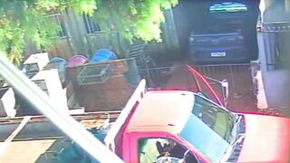 Execution-Style Slaughter: Hitman Puts 6 Bullets in Elderly Beekeeper’s Head