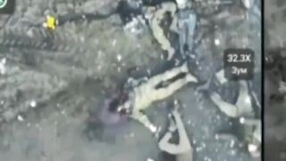 Ukrainian kamikaze drone flies into a crowd of Russian soldiers.