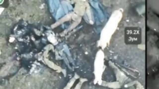 Ukrainian kamikaze drone flies into a crowd of Russian soldiers.