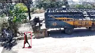 Horrific Moment: Reversing Truck Triggers Concrete Avalanche, Worker Crushed