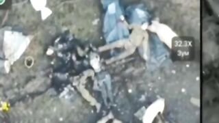 9 Orcs eliminated