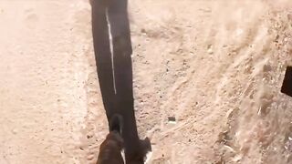 Drone fighting can also be fun
