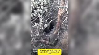 LoL "War in Ukraine is sometimes funny (English subtitles)"