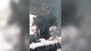 The Ghost Driver: Man Burned To A Crisp After Fiery Crash