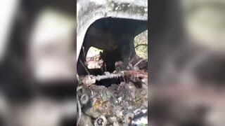 The Ghost Driver: Man Burned To A Crisp After Fiery Crash