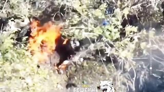 Spring "barbecue" in nature