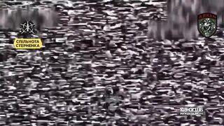 Dead Russians comp (April 9, 2026)