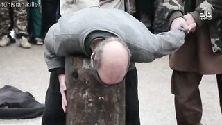 Death 'n' shit compilation 5