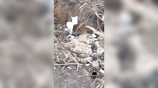 Many corpses of Ukrainians