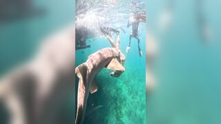 Shocking New Footage Shows Brazilian Surfer Attacked by Shark