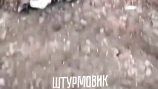A short and brutal compilation of the war in Ukraine