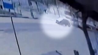 Driver hits elderly woman near bus stop