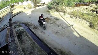 Dog Suddenly Attacks Biker in Tonk, Rajasthan – Shocking Moment Caught on Camera