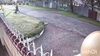 Motorcycle Thugs Strike Pedestrian with Iron Bar in Chilling Robbery