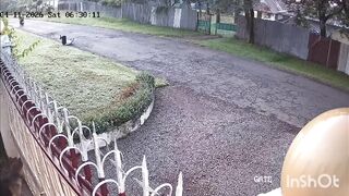 Motorcycle Thugs Strike Pedestrian with Iron Bar in Chilling Robbery