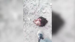 Pakistani Soldier Decapitated by Ittihad-Mujahideen Pakistan Fighters